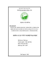 Áp dụng quy trình chăm sóc, nuôi dưỡng và phòng trị bệnh cho lợn nái sinh sản nuôi tại trang trại lê văn tuấn   xã bình xuyên   huyện bình giang   tỉnh hải dương 