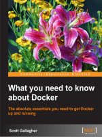What you need to know about docker  the absolute essentials you need to get docker up and running 