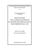 Một số giải pháp nâng cao hiệu quả kinh doanh của hệ thống phân phối tại công ty TNHH la vie 