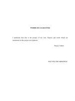 Marketing plan for a new branch of techcomsecurities  master project in business and marketing management 