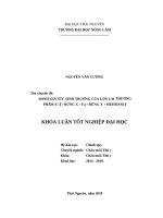 Đánh giá được sức sinh trưởng của lợn lai thương phẩm f2 {♂rừng x ♀f1 (♂rừng x ♀meishan) 