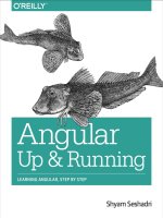 Angular up  running  learning angular, step by step 