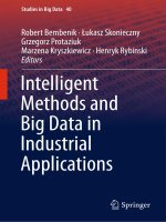 Intelligent methods and big data in industrial applications 