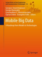 Mobile big data 