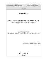 Marketing plan for mini games online of vtc company in hcmc market  master project in business and marketing management  