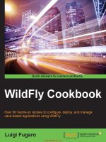 WildFly cookbook  over 90 hands on recipes to configure, deploy, and manage java based applications using wildfly 