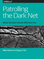 patrolling the dark net 