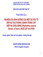 LUẬN VĂN THẠC SỸ GHIÊN CỨU ẢNH HƯỞNG CỦA MỘT SỐ YẾU TỐ ĐẾN SỰ TẠO THÀNH LIGNAN TRONG CÂY DIỆP HẠ CHÂU ĐẮNG (Phyllanthus amarus Schum. & Thonn.) NUÔI CẤY IN VITRO
