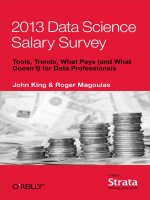 2013 data science salary survey 
