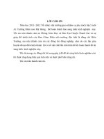 skkn lồng ghép và giáo dục cho trẻ mầm non học tập và thực hiện theo tấm gương đạo đức hồ chí minh 