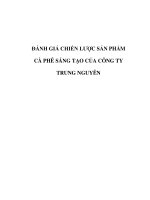 Đánh giá chiến lược sản phẩm cà phê Sáng Tạo của Trung Nguyên
