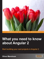 What you need to know about angular 2  start building your next projects in angular 2 