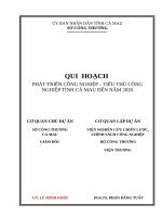 QUI HOẠCH PHÁT TRIỂN CÔNG NGHIỆP – TIỂU THỦ CÔNG NGHIỆP TỈNH CÀ MAU ĐẾN NĂM 2020