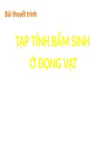 BÀI THUYẾT TRÌNH TẬP TÍNH BẨM SINH  Ở ĐỘNG VẬT