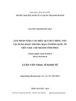 Giải pháp nâng cao hiệu quả huy động vốn tại ngân hàng thương mại cổ phần quốc tế việt nam   chi nhánh vĩnh phúc 