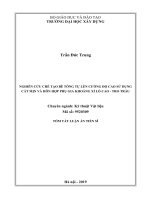 Nghiên cứu chế tạo bê tông tự lèn cường độ cao sử dụng cát mịn và hỗn hợp phụ gia khoáng xỉ lò cao   tro trấu (tt) 