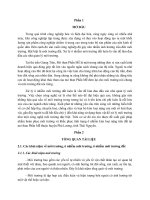 tiểu luận đề xuất giải pháp nhằm hoàn phục môi trường và khắc phục tình trạng ô nhiễm kim