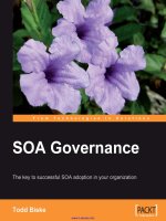 1684 SOA governance 