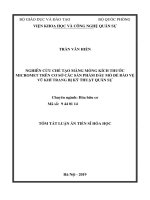 Nghiên cứu chế tạo màng mỏng kích thước micromet trên cơ sở các sản phẩm dầu mỏ để bảo vệ vũ khí trang bị kỹ thuật quân sự (tt) 