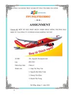 MỘT SỐ GIẢI PHÁP HOÀN THIỆN HOẠT ĐỘNG THƯƠNG MẠI ĐIỆN TỬ TẠI CÔNG TY CỔ PHẦN HÀNG KHÔNG VIETJET