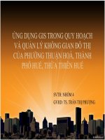 THUYT TRINH ỨNG DỤNG GIS TRONG QUY HOẠCH VÀ QUẢN LÝ KHÔNG GIAN ĐÔ THỊ CỦA PHƯỜNG THUẬN HOÀ, THÀNH PHỐ HUẾ, THỪA THIÊN HUẾ