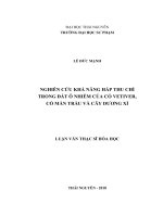 Nghiên cứu khả năng hấp thu chì trong đất ô nhiễm của vỏ vetiver, cỏ mần trầu và cây dương xỉ 