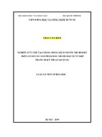 Nghiên cứu chế tạo màng mỏng kích thước micromet trên cơ sở các sản phẩm dầu mỏ để bảo vệ vũ khí trang bị kỹ thuật quân sự