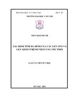Xác định tính đa hình của các gen TP53 và gen MDM2 ở bệnh nhân ung thư phổi