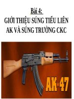 Bai 4 gioi thieu sung tieu lien AK va sung truong CKC