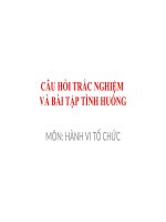 Slide Câu hỏi trắc nghiệm và tình huống môn Hành vi tổ chức.