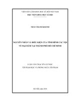 Nguyên nhân và điều kiện của tình hình các tội về mại dâm tại Thành phố Hồ Chí Minh (Luận văn thạc sĩ)
