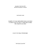 Nghiên cứu đặc điểm hình thái, giải phẫu và phân loại cây bảy lá một hoa (paris) thu thập ở lai châu 
