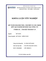 Kế toán doanh thu , chi phí và xác định kết quả kinh doanh tại c ty TNHH hải thanh VN 