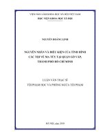 Nguyên nhân và điều kiện của tình hình các tội về ma túy tại quận Gò Vấp, Thành phố Hồ Chí Minh (Luận văn thạc sĩ)