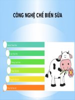 Slide công nghệ chế biến sữa