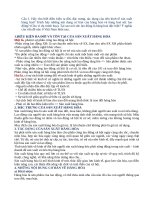 Ôn tập Mác - LêNin (Có đáp án)