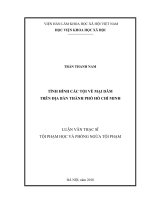 Tình hình các tội về mại dâm trên địa bàn thành phố Hồ Chí Minh (Luận văn thạc sĩ)