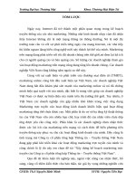 Xây dựng kế hoạch marketing trực truyến của công ty cổ phần tổng hợp thông tin – truyền thông việt nam