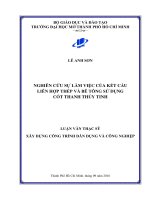 Nghiên cứu sự làm việc của kết cấu liên hợp thép và bê tông sử dụng cốt thanh thủy tinh 