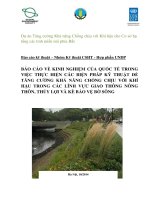 KINH NGHIỆM CỦA QUỐC TẾ TRONG VIỆC THỰC HIỆN CÁC BIỆN PHÁP KỸ THUẬT ĐỂ TĂNG CƯỜNG KHẢ NĂNG CHỐNG CHỊU VỚI KHÍ HẬU TRONG CÁC LĨNH VỰC GIAO THÔNG NÔNG THÔN, THỦY LỢI, KÈ BẢO VỆ