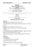 Tuần 29 giáo án lớp 1 soạn theo ĐHPTNLHS năm học 2018   2019 