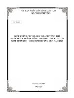 ĐIỀU CHỈNH CỤC BỘ QUY HOẠCH TỔNG THỂ PHÁT TRIỂN NGÀNH CÔNG THƯƠNG TỈNH KON TUM GIAI ĐOẠN 2011 – 2020, ĐỊNH HƯỚNG ĐẾN NĂM 2025
