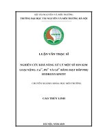 Nghiên cứu khả năng xử lý một số ion kim loại nặng cu2, pb2 và cd2 bằng hạt hấp phụ hydroxyapatit 