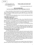 BAO CAO KIEM ĐIEM CUA CHI UY NHIEM KY 15 17