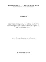 Phát triển tín dụng cây cà phê tại ngân hàng nông nghiệp và phát triển nông thôn việt nam   chi nhánh tỉnh gia lai 