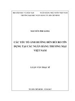Các yếu tố ảnh hưởng đến rủi ro tín dụng tại các ngân hàng thương mại việt nam 