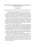 1612370 tran thi hoai nhan BĐKH