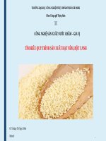 CNSX NUOC CHAM GIA VI