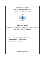 Nghiên cứu cải tiến quy trình sản xuất snack từ da cá chẽm (lates calcarifer) 