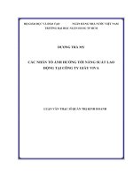 Các nhân tố ảnh hưởng tới năng suất lao động tại công ty giày viva  luận văn thạc sĩ kinh tế  dương trà my    tp  hồ chí minh 